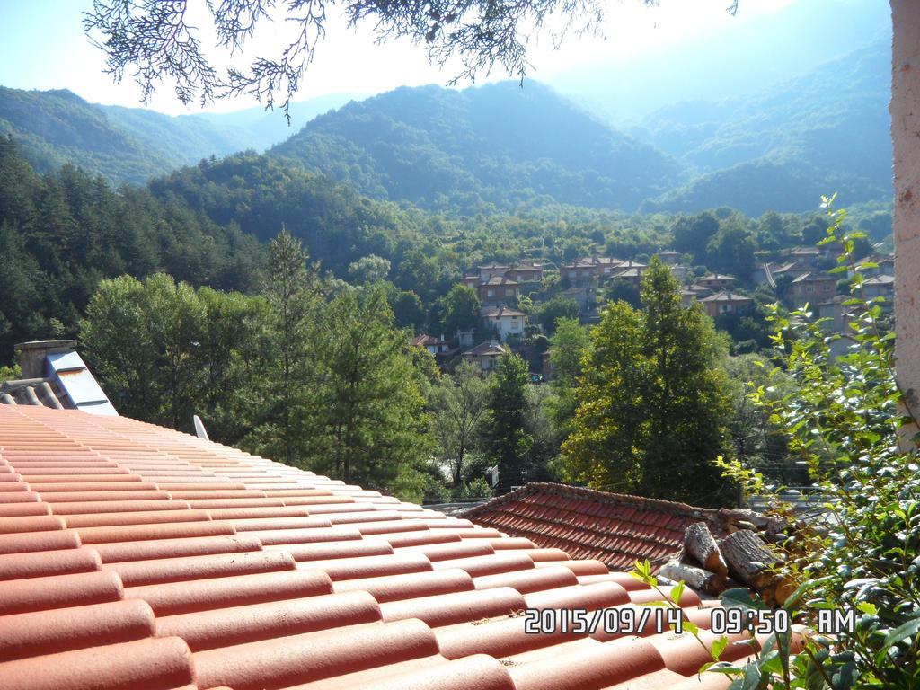 Guest House Perla Bachkovo Buitenkant foto